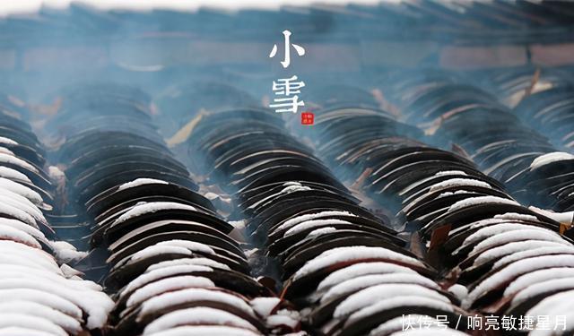 好吃|明日小雪,这3种海鱼千万别错过,价格便宜又好吃,做给家人吃吧