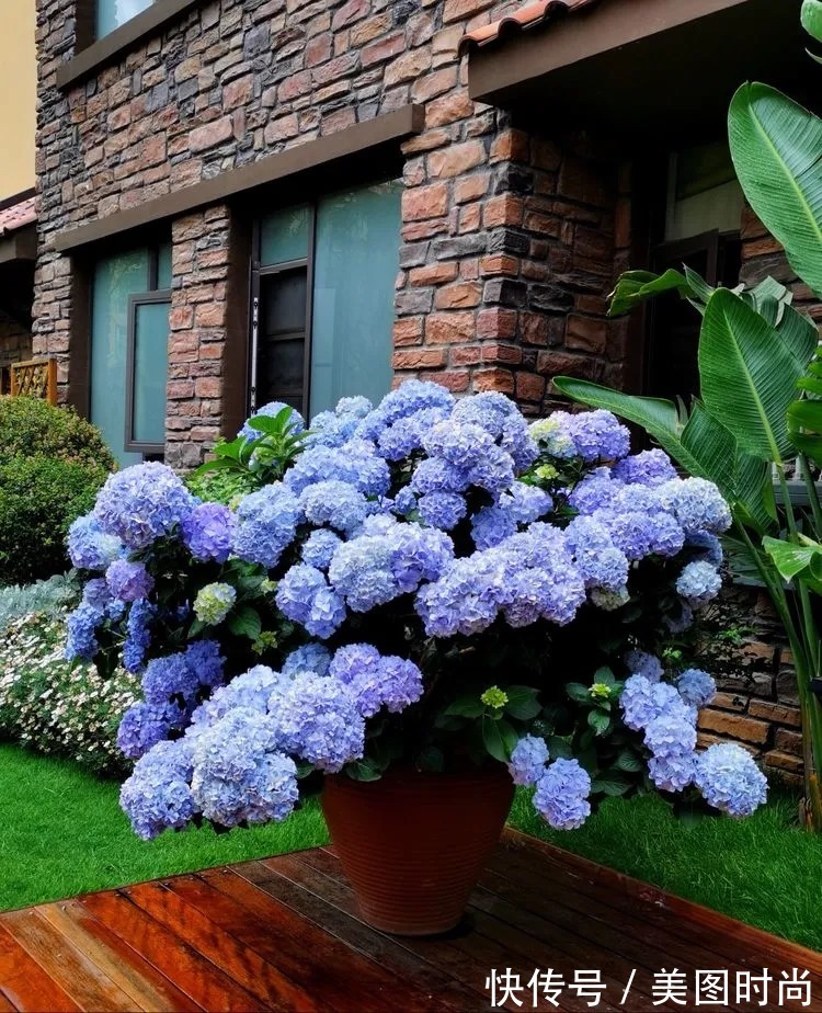 下午茶|一楼430㎡大院子，用1年半建成花园，网友：你这是建了个公园吧？