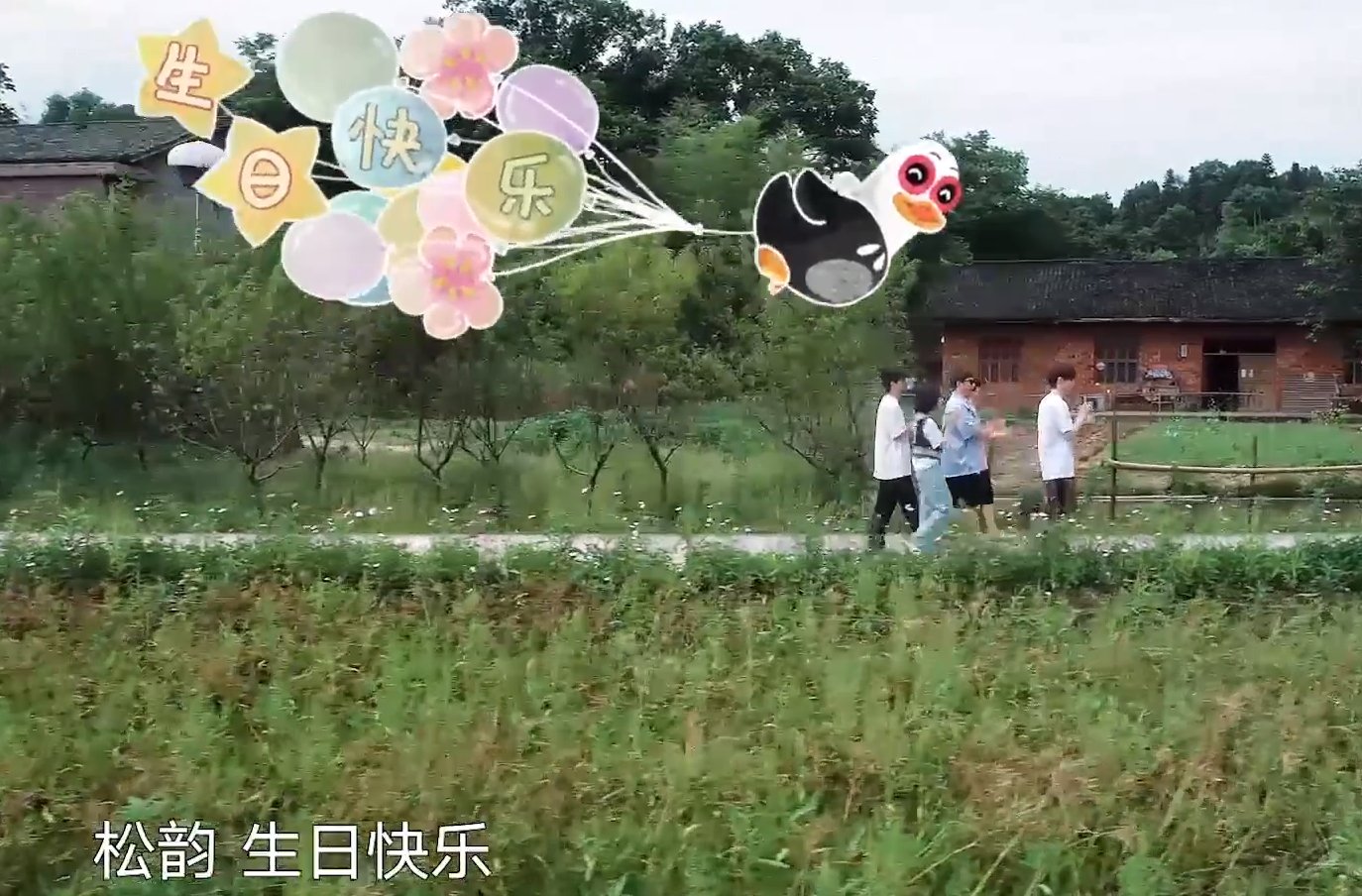 小姐姐|谭松韵“亮相”《向往5》，看清她的出场方式，何老师有心了