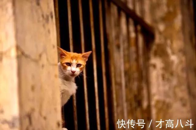 王贞白&千年来最有用的一句诗,短短7字,悟到了一辈子受益无穷!