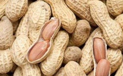 女性想身體好，建議吃的食物，預防色斑，改善便秘，促進身體健康