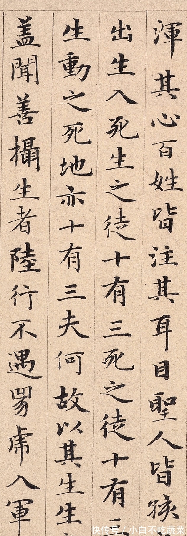 小楷道德经!北京故宫的一件“奇宝”,洋洋洒洒5000余字,被誉为“小楷之祖”