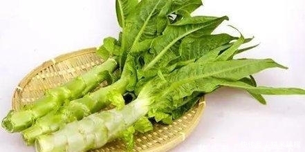 莴笋|此蔬菜不仅能强壮机体、防癌抗癌,还能缓解老年人群的三高症状
