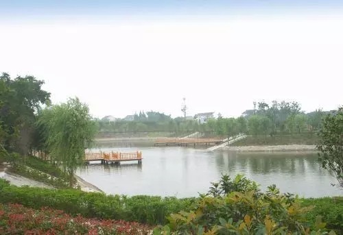 分享如何快速找到鲫鱼藏身的四大技巧,学会让你快速钓鲫鱼