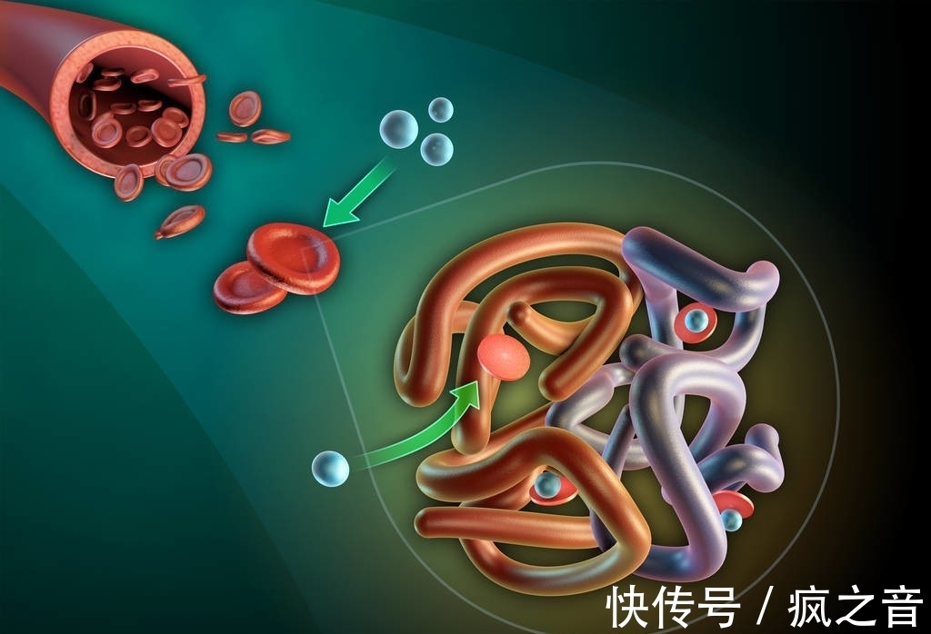 远古人类不吃盐,野生动物不吃盐活蹦乱跳,现在不吃盐却会有问题