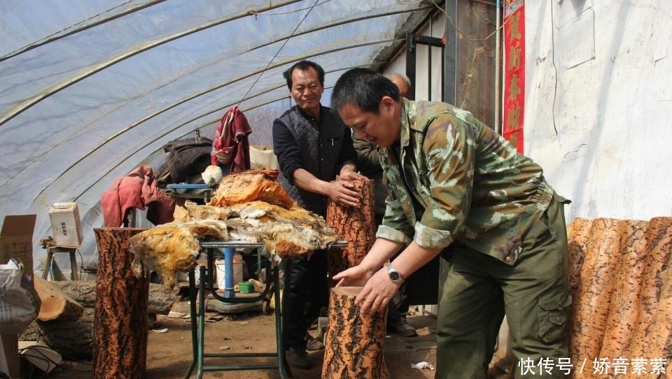 农民|五年前捡到140斤太岁,卖出300万的东北农民,现状如何了?