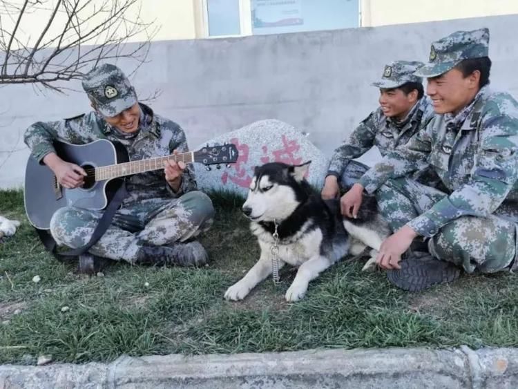 骑马|-38℃，骑马的兵哥哥真帅！