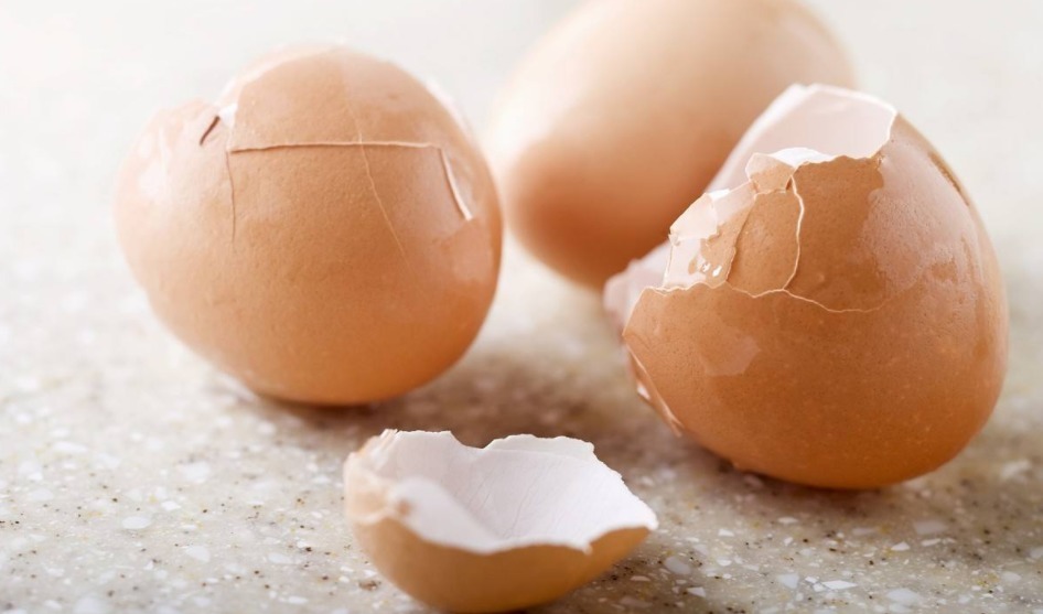 花友们|养花其实不用买土,这么配置万能营养土,有营养又透气