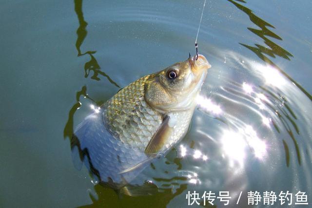 冬钓鱼不开口怎么办?老钓手传授三个逗钓技巧,简单实用,莫泄密