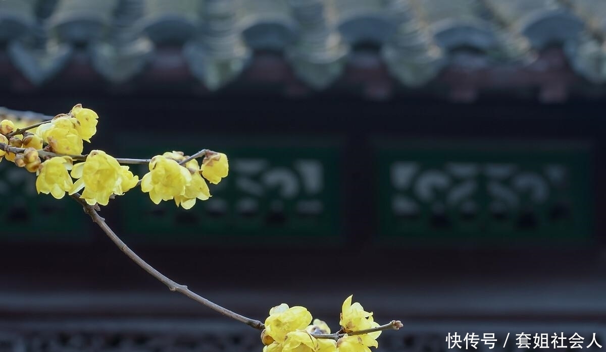 成大器|真正能成大器的人，都懂得韬光养晦