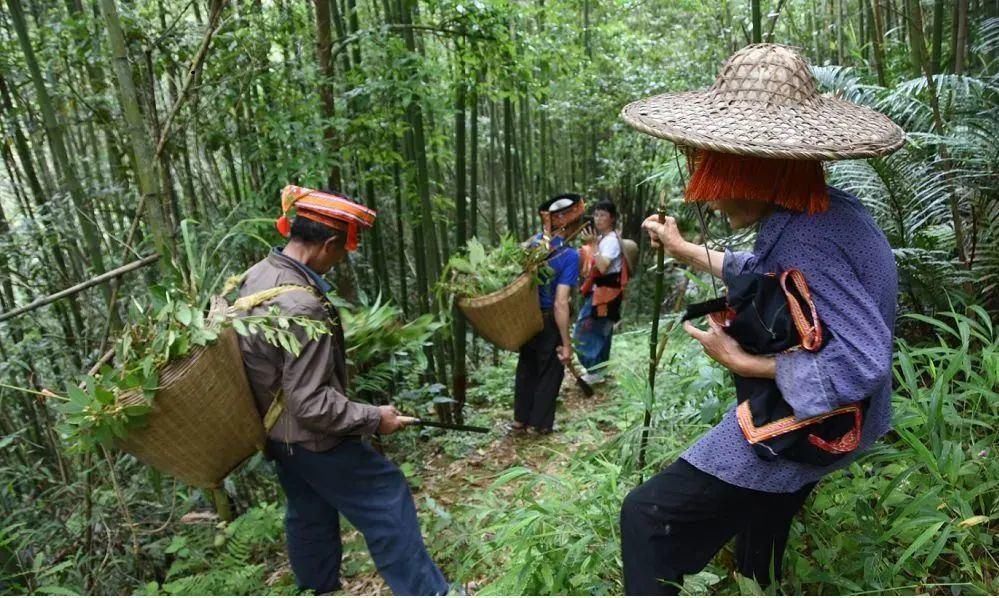  体重|睡觉之前这样泡脚胜过看中医！湿气走了，气色好了，身体轻了，体重蹭蹭往下掉