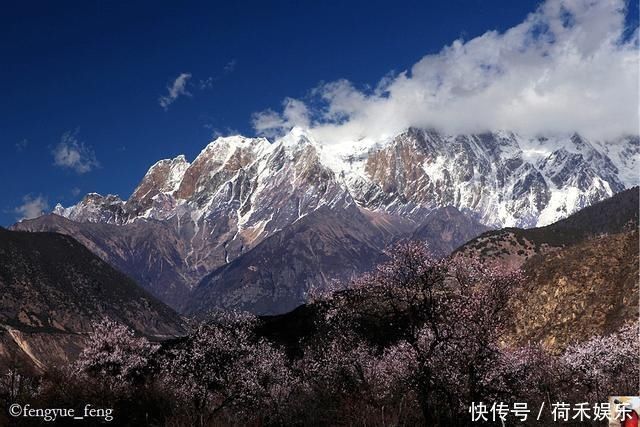 波密桃花开当桃花与雪山相遇，便成为云上仙境