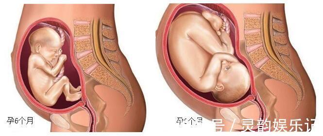 孕晚期|孕晚期是胎儿“猛涨期”,孕妈身上这些反应,需要补充营养了