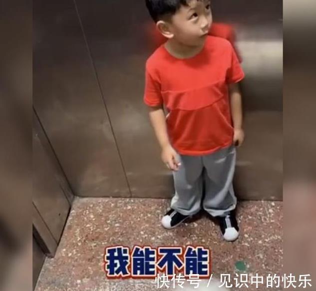 认知能力|萌娃电梯遇到女孩牵着狗,“礼貌性”的问答引热评