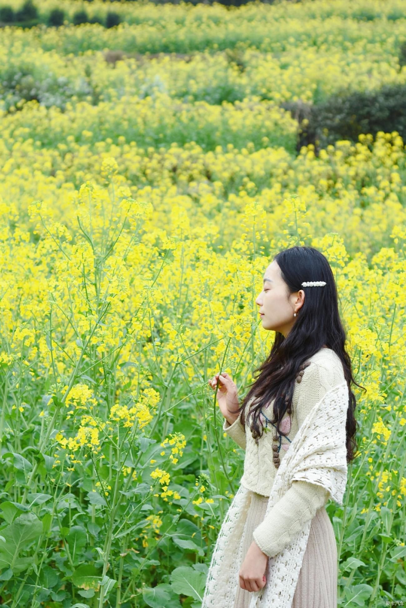 婺源|【春到婺源】记得住乡愁，江岭上开遍油菜花。