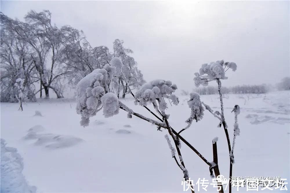 严冬之十三$七律《严冬之十三》组诗 无衔参谋