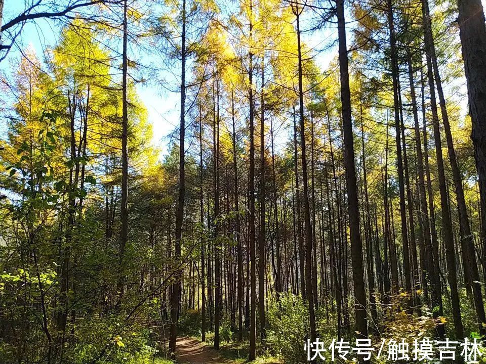 乾隆帝|吉林这座山，清朝时被视为神圣之地，乾隆帝曾登临望祭长白山