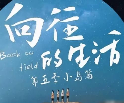 《向往5》曝光常驻MC人选,彭昱畅依旧常驻,但这次他也来了