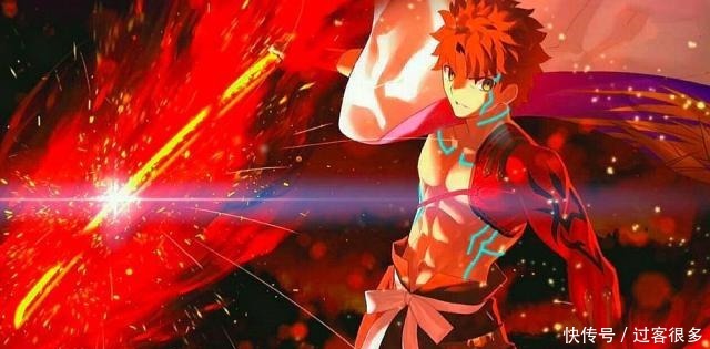 论卫宫士郎的十种形态