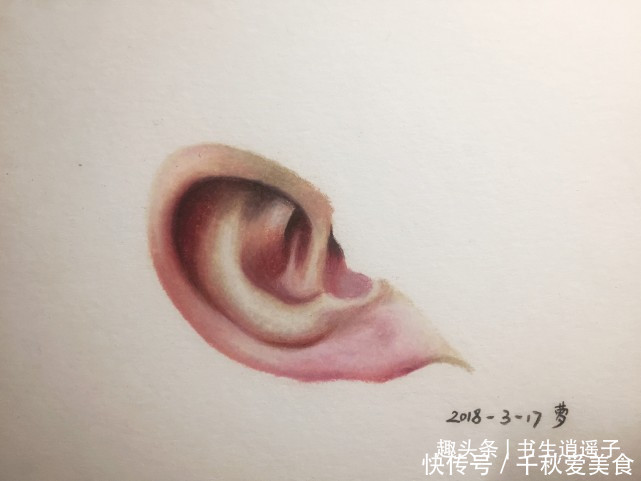事实|54个人体冷知识：或许经常遇到，但你却不一定明白的事实