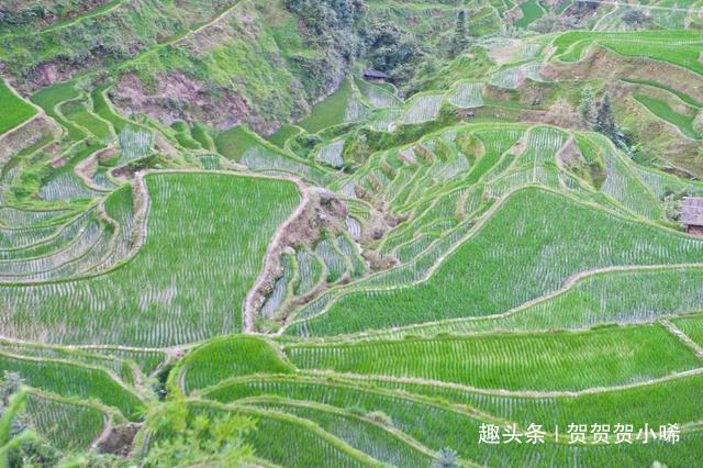 贵州最漂亮的梯田原来在这里，聚山水灵气之精华，去一次终身难忘