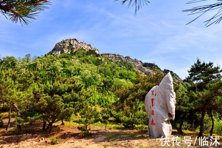 情定三生|美丽的苍马山