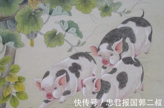 生肖|第六感很准,每次都能做出正确选择的生肖,轻轻松松把钱赚!