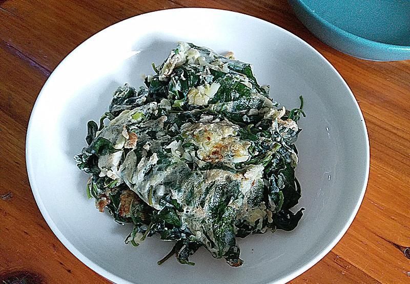 枸杞叶|茴香韭菜不如它,5块钱1斤,常吃眼睛明亮,和鸡蛋一炒特别鲜香