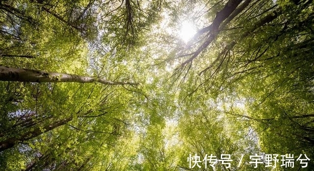 真正的朋友|2021年底，运势一飞冲天，事业策马奔腾，有望名利双收的3星座