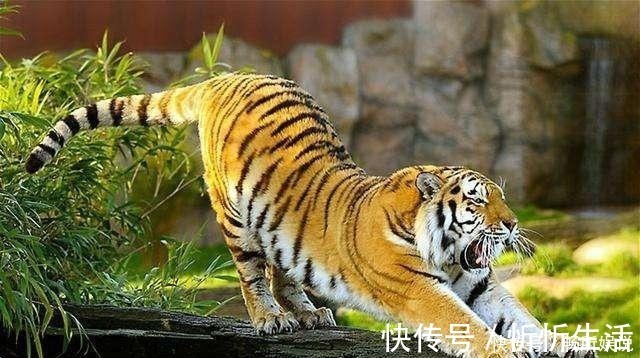 西游记中|西游记中最神秘的神仙，在天庭地位低微，却镇压孙悟空数百年！