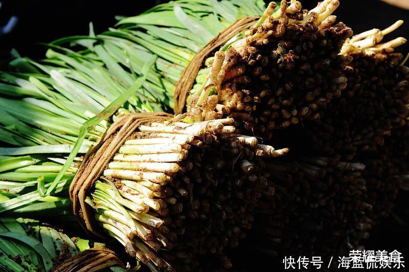学问|买韭菜学问多,挑宽叶还是细叶,选白根还是红根,看完涨知识了
