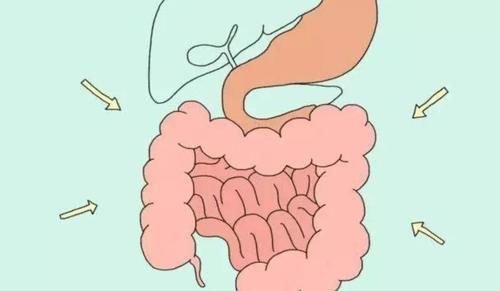 便秘|便秘难受又尴尬？教你1招，或能保持肠道顺畅，宿便也慢慢消