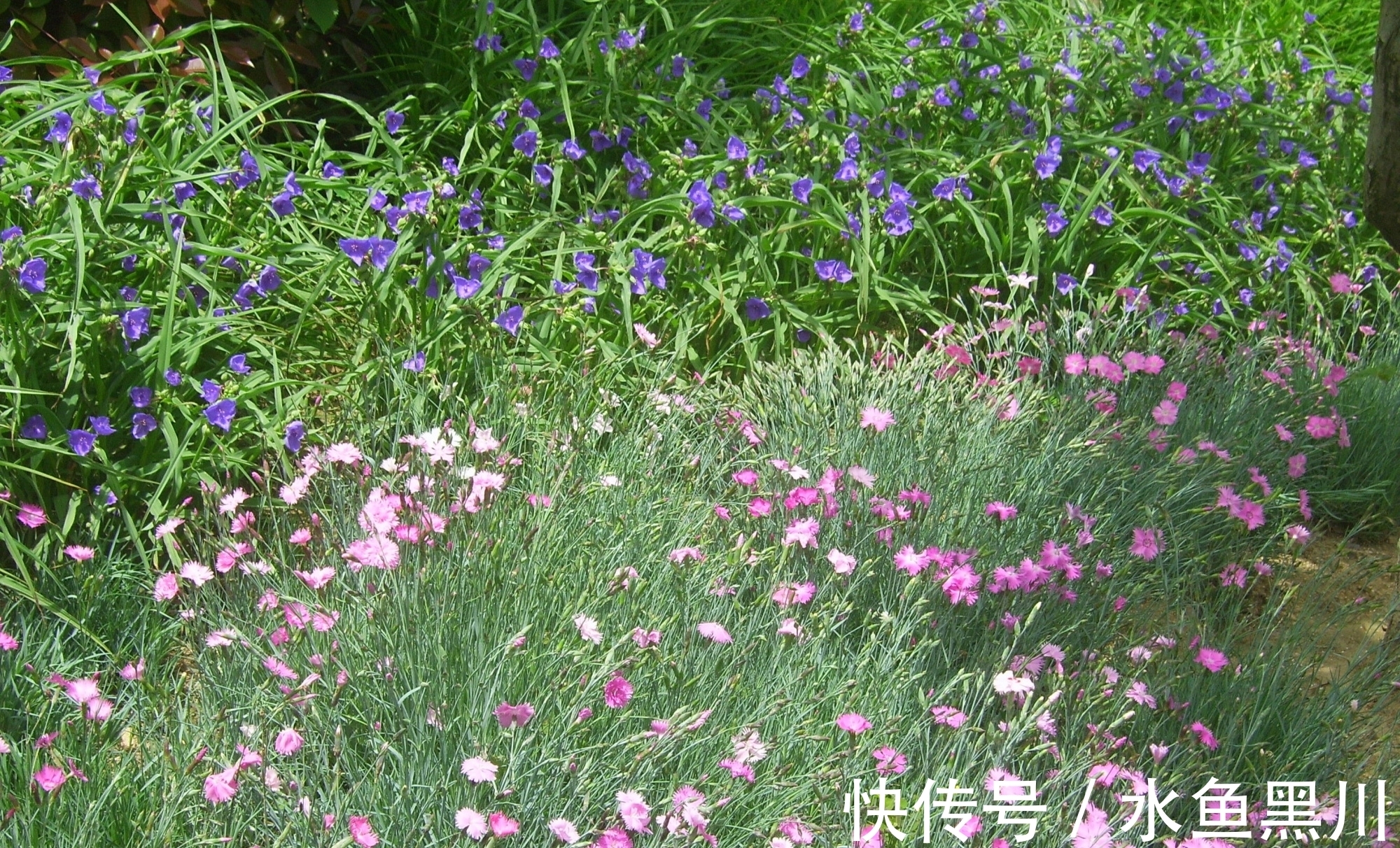 形式主义|不要小瞧诗的题目，其实里面大有学问