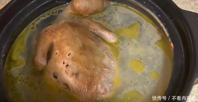 鸽子养殖户告诉你，为什么冰冻乳鸽那么便宜