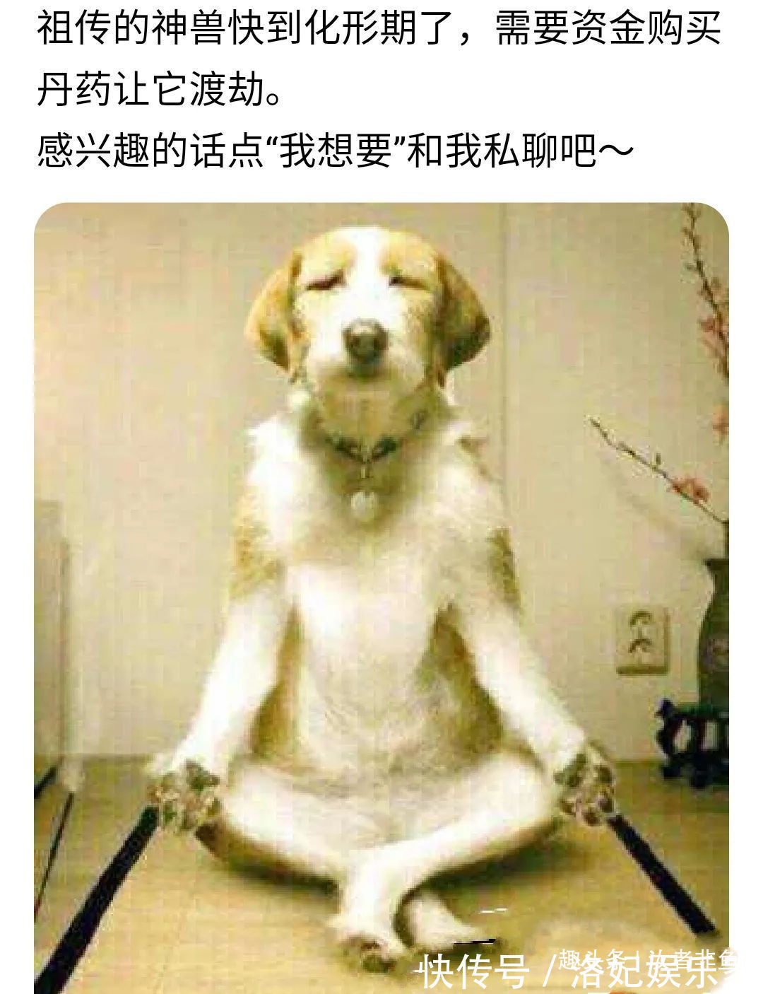 沙雕|对于闲鱼卖家们来说,什么都能卖,上古神兽应有尽有