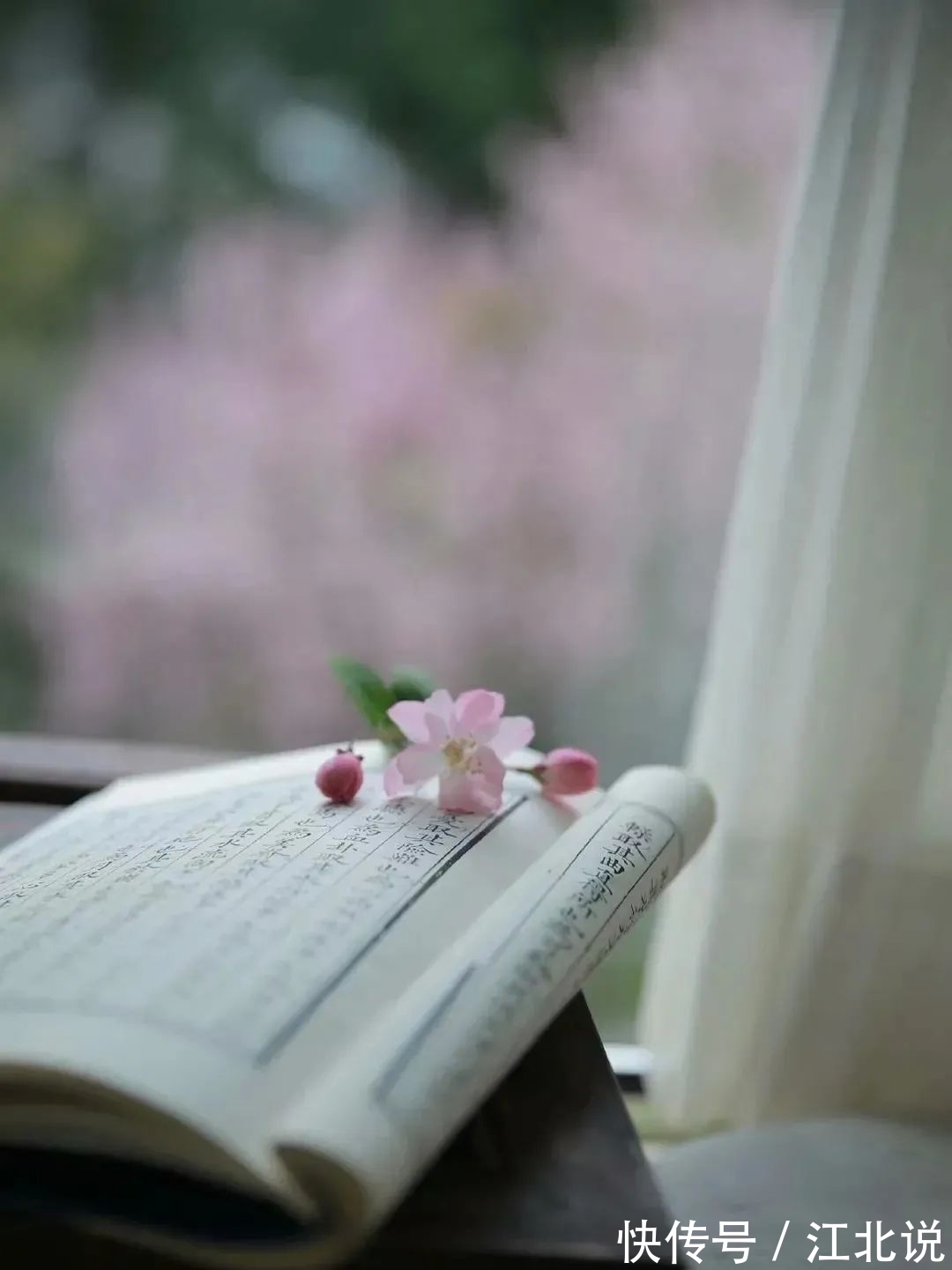 草色|「当代优秀原创诗词」陈静 诗词选