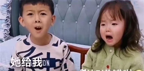 妈妈|妹妹把哥哥作业撕掉,随后哥哥的举动超暖心,网友:宝妈教子有方