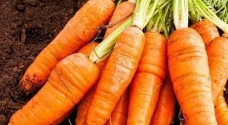 大白菜|胡萝卜和此物一起煮,视力好了,失眠跑了,还能清理血管垃圾!