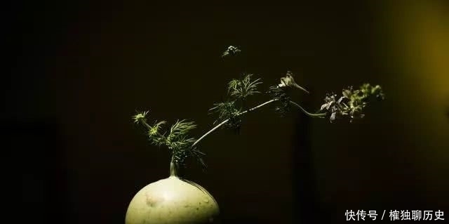 温庭筠|起名字没那么简单,这里边大有讲究,名字起得好,一生运气旺