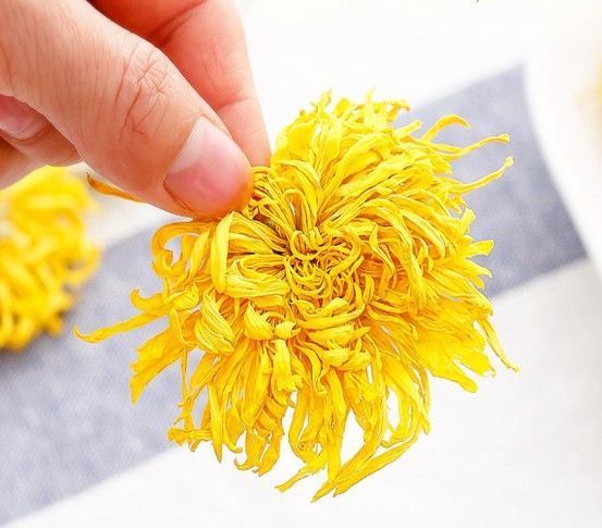 芽萩菊|肿瘤院长癌晚期,坚持不化疗我选择“倒生长”!