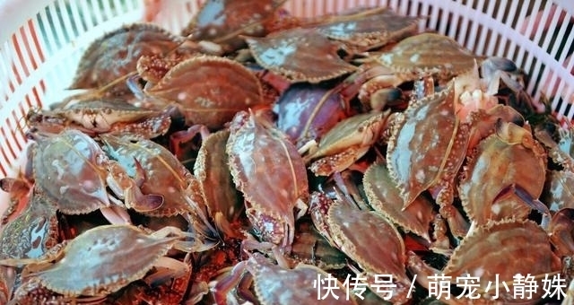 蒸螃蟹时,直接上锅蒸就废了!多加这1步,蟹肉鲜嫩入味不流黄