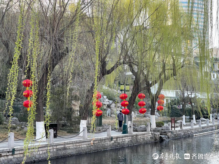 气温攀升！24℃的济南护城河畔，春意盎然一派春天景象|情报站| 气温攀升！24℃的济南护城河畔，春意盎然一派春天景象\＂,\＂i16\＂:\＂情报站