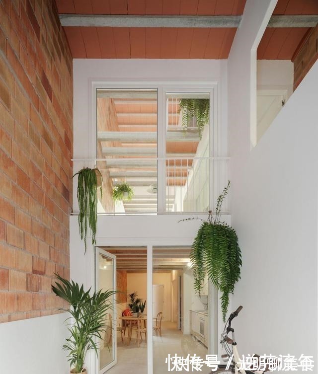 客厅|母女住4米宽的过道,将其改造成60㎡住宅,还带内部庭院,羡慕!