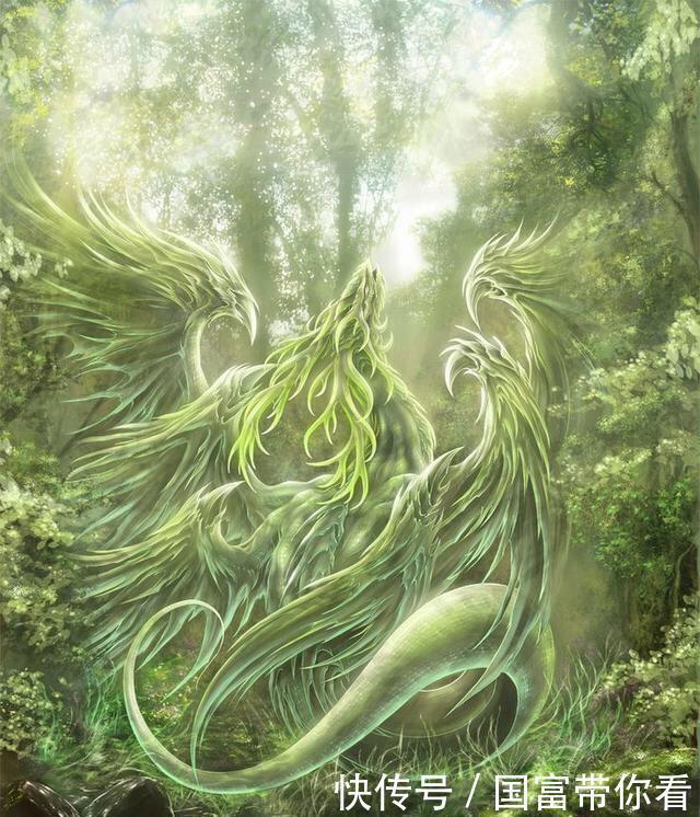 武魂|《斗罗大陆》最毒的武魂是哪个?它毒死千万条生命,不是毒斗罗的