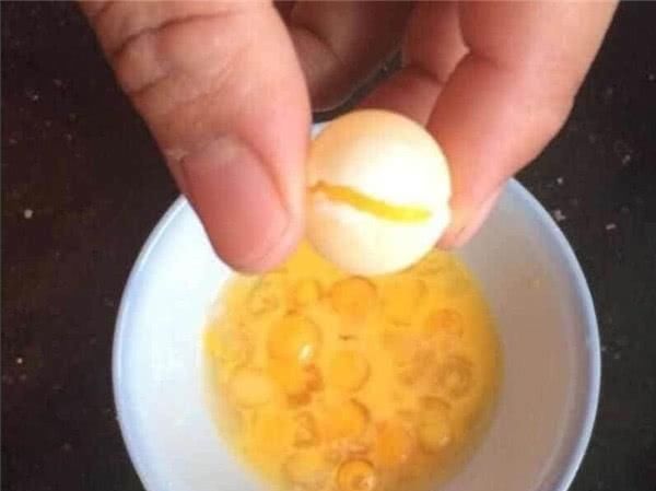 這蛋的含鈣量比雞蛋高4倍,卻比鵪鶉蛋還小,很少有人吃過