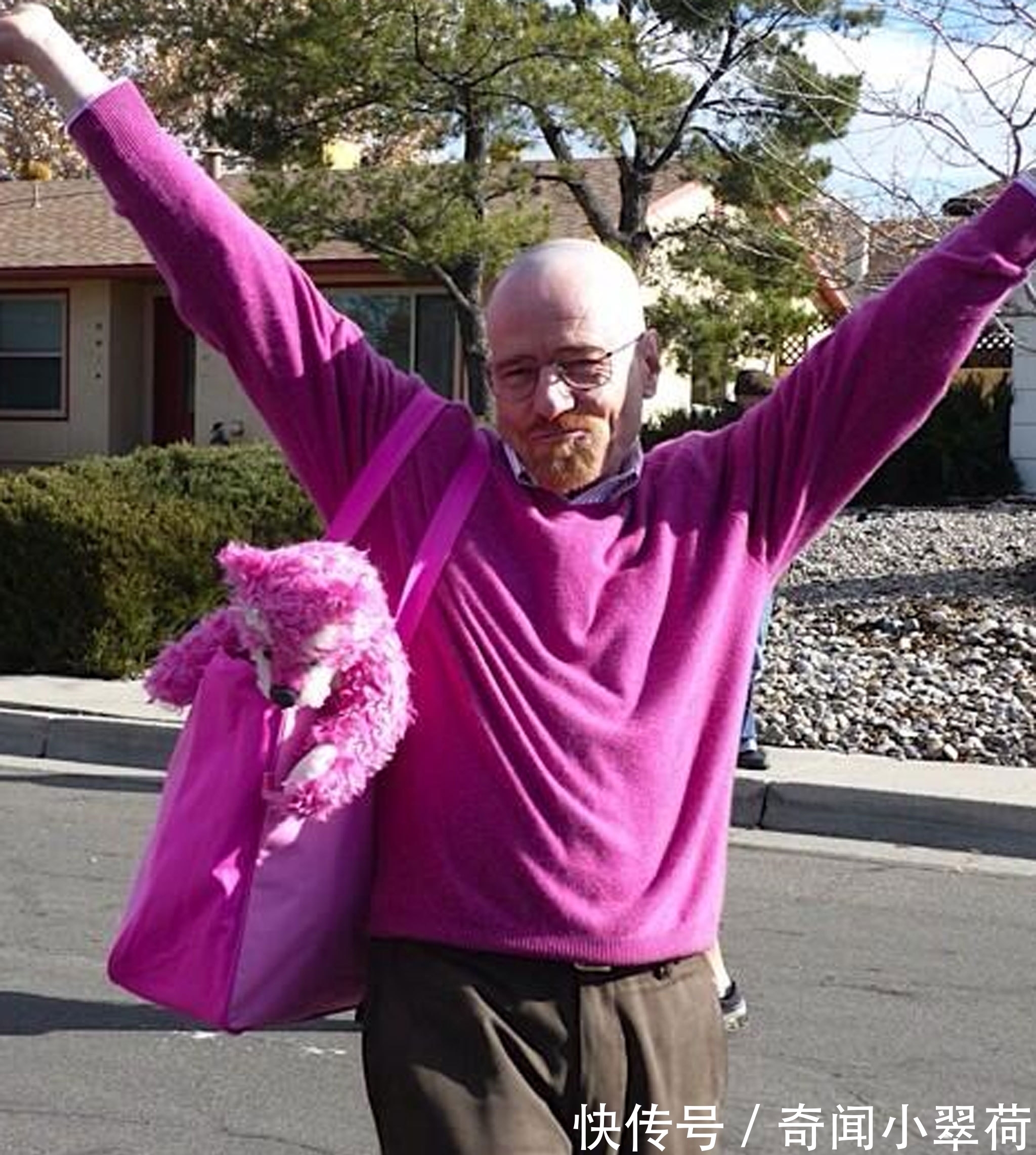 《絕命毒師》第二季里那個一直出現(xiàn)的粉紅玩具熊設置的意圖是什么？