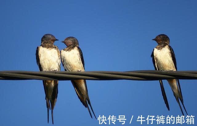 七言古诗#卢照邻诗一首,此诗是他的代表作,已是初唐七言古诗的代表作之一