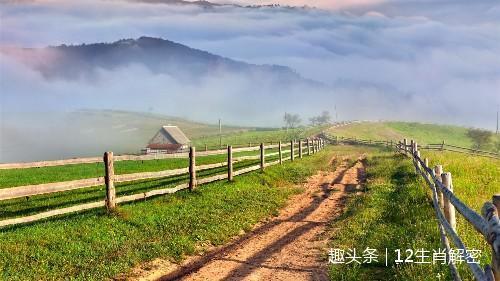 生肖牛|15号开始，财运上上签，富贵不缺，大奖不愁，立马暴富的3生肖