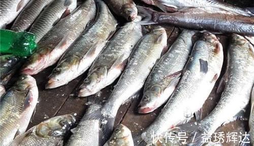翘嘴|如何钓到米级大翘嘴?带漂筏钓就很容易,钓组可以这样搭配!