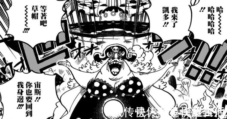 索隆|海贼王985话娜美身世存疑,她将会是四皇凯多的女儿吗